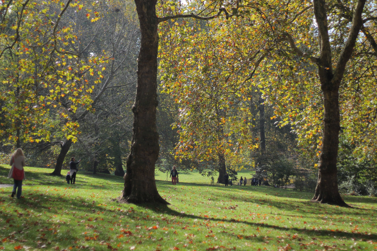 Hidden London: Green Park, October 2018