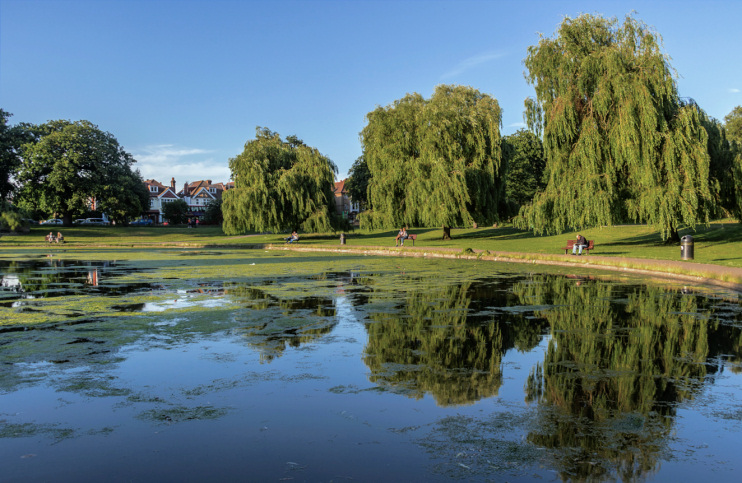 Hidden London: Reflections in Broomfield Park lake by Christine Matthews